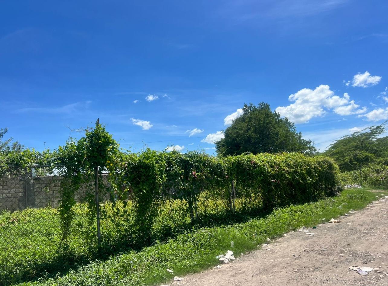 Second image of Wynter Pen, Spanish Town, in Angels, St. Catherine, Jamaica - property is For Rent