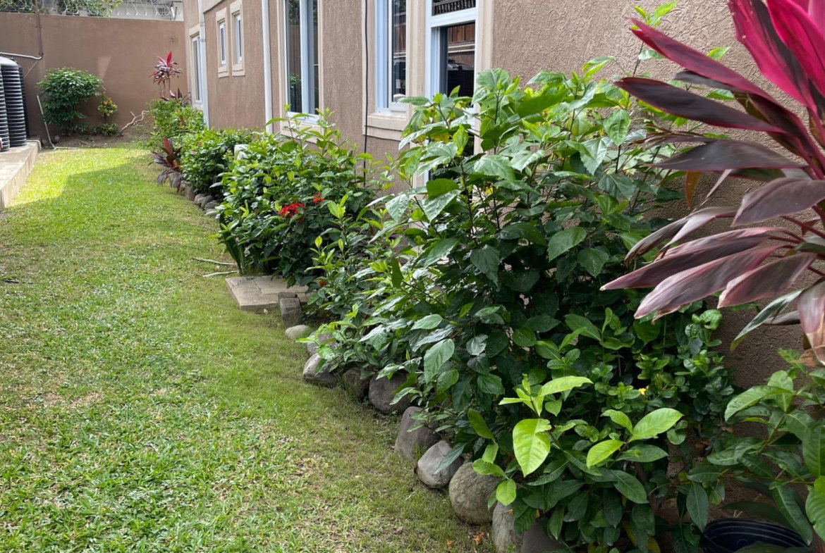 Eighth image of 14-5 Gladstone Drive Kingston in Kingston 6, St. Andrew, Jamaica - property is For Rent