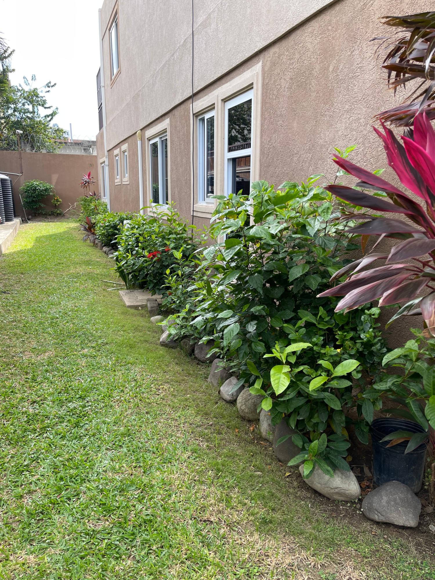 Eighth image of 14-5 Gladstone Drive Kingston in Kingston 6, St. Andrew, Jamaica - property is For Rent