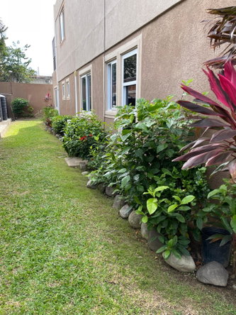 Eighth image of 14-5 Gladstone Drive Kingston in Kingston 6, St. Andrew, Jamaica - property is For Rent