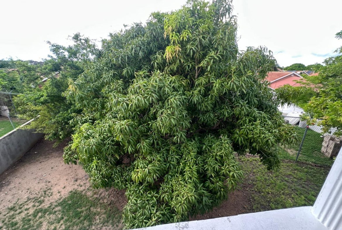 Fourteenth image of 63- Caribbean Estate, Block a in Caribbean Estates, St. Catherine, Jamaica - property is For Rent
