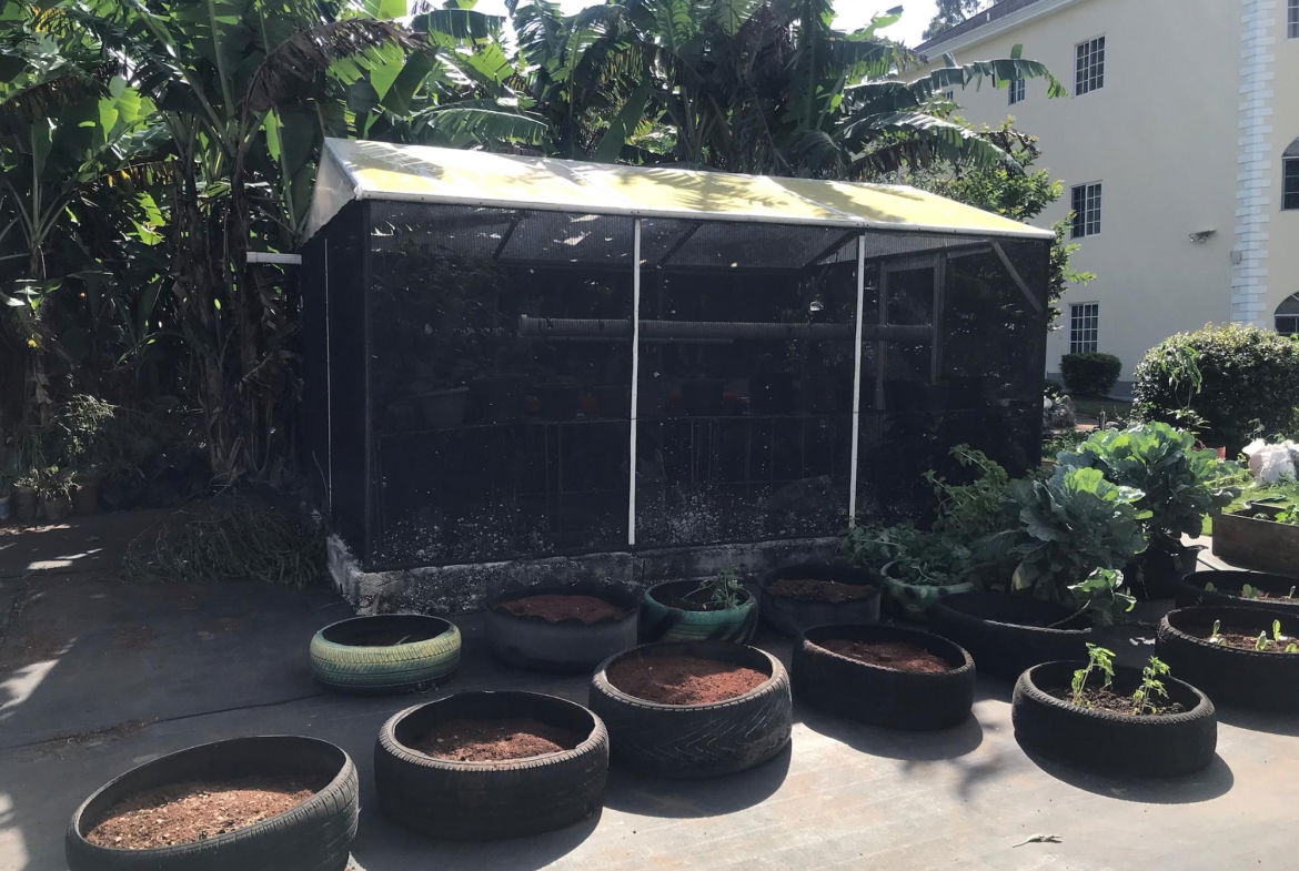 Ninth image of 46 Cedar Gardens in Mandeville, Manchester, Jamaica - property is For Rent