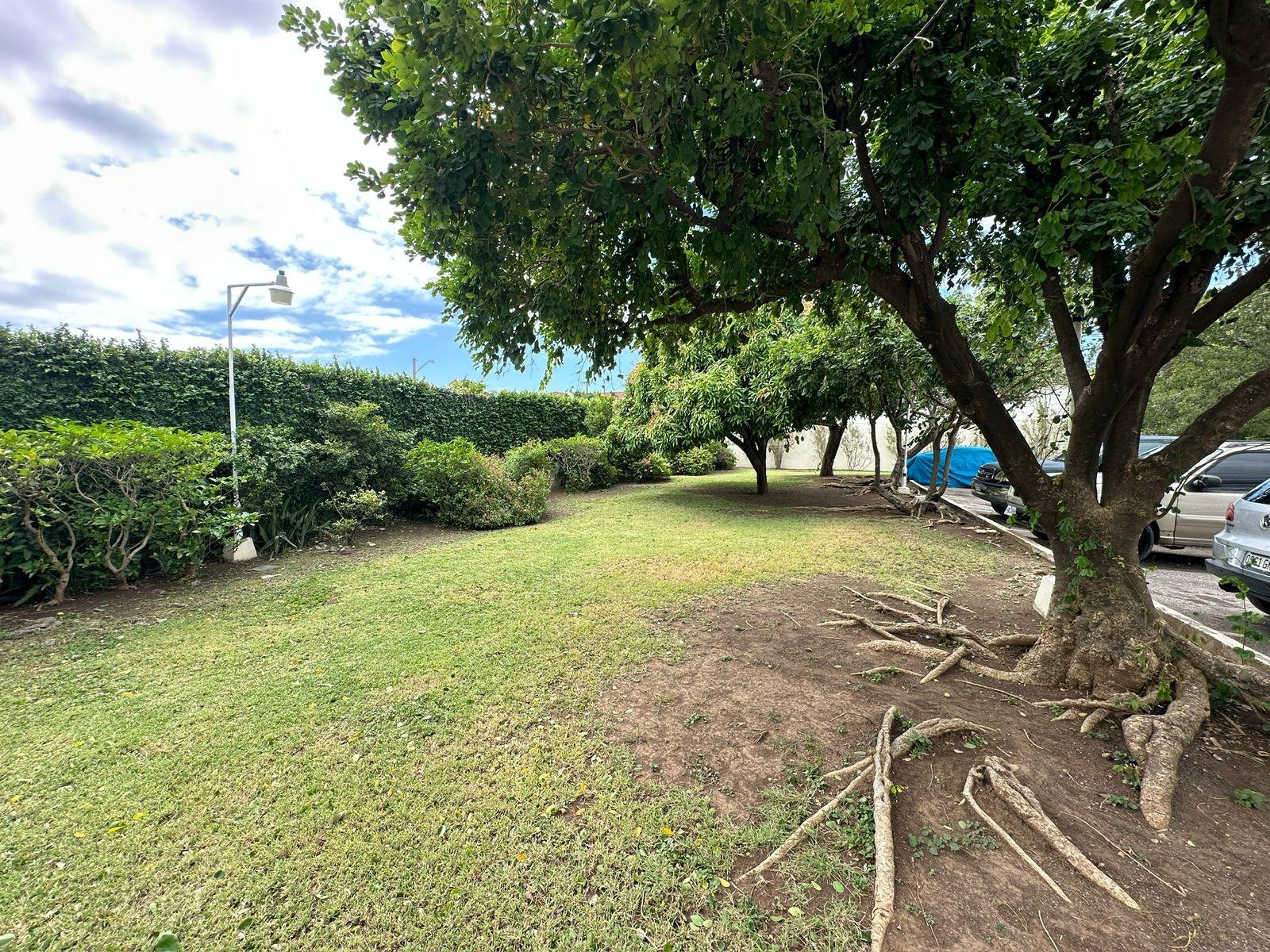 Twenty-Ninth image of Dilcoosha Avenue in Kingston 10, St. Andrew, Jamaica - property is For Rent