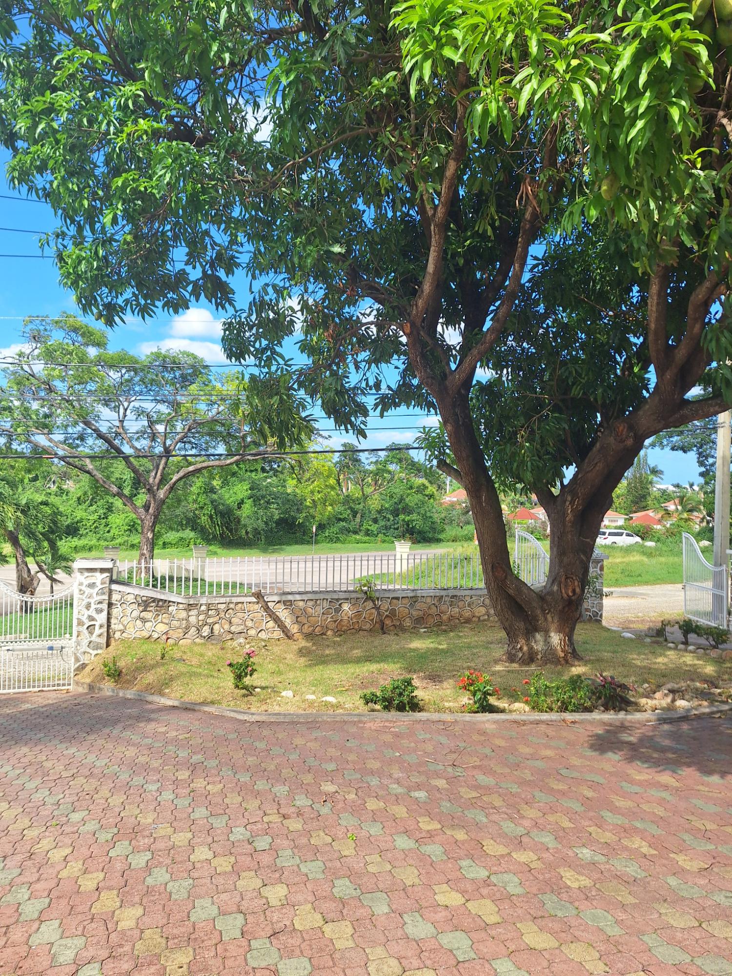 Fourth image of 1- Greenwich Park, Mammee in St. Ann's Bay, St. Ann, Jamaica - property is For Rent