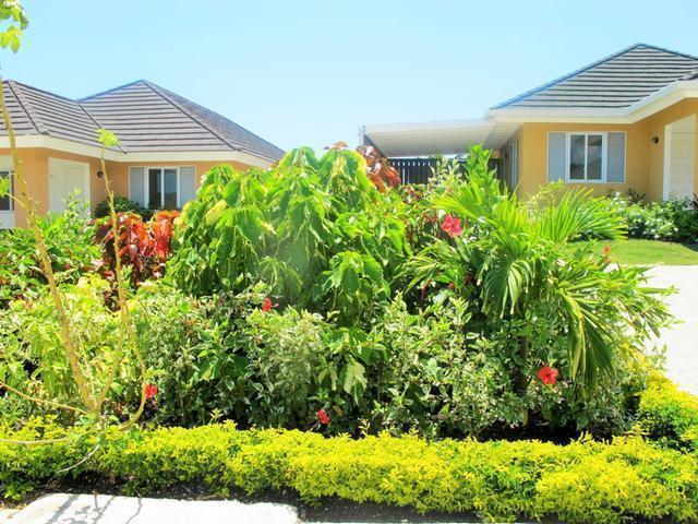Fourteenth image of 364 Mahoe Avenue in St. Ann's Bay, St. Ann, Jamaica - property is For Rent