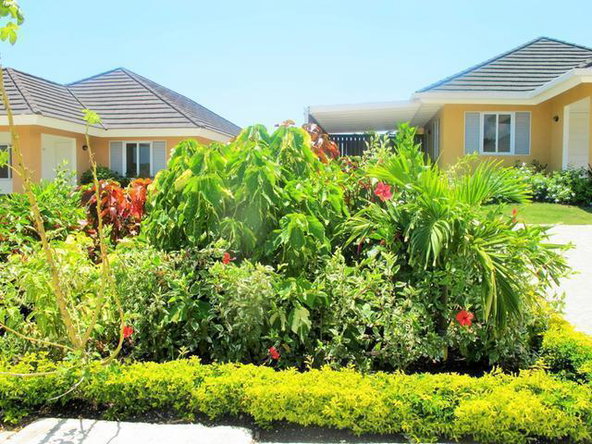 Fourteenth image of 364 Mahoe Avenue in St. Ann's Bay, St. Ann, Jamaica - property is For Rent