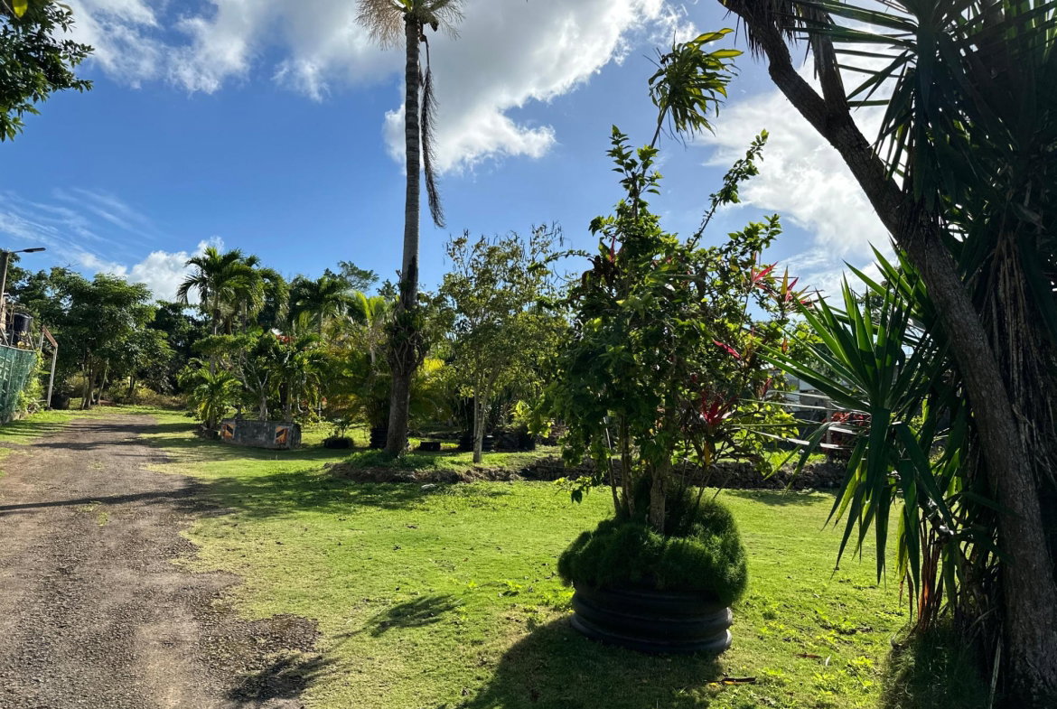 Fourth image of 263 Liberty Castle, Three Hills in Free Hill, St. Mary, Jamaica - property is For Sale