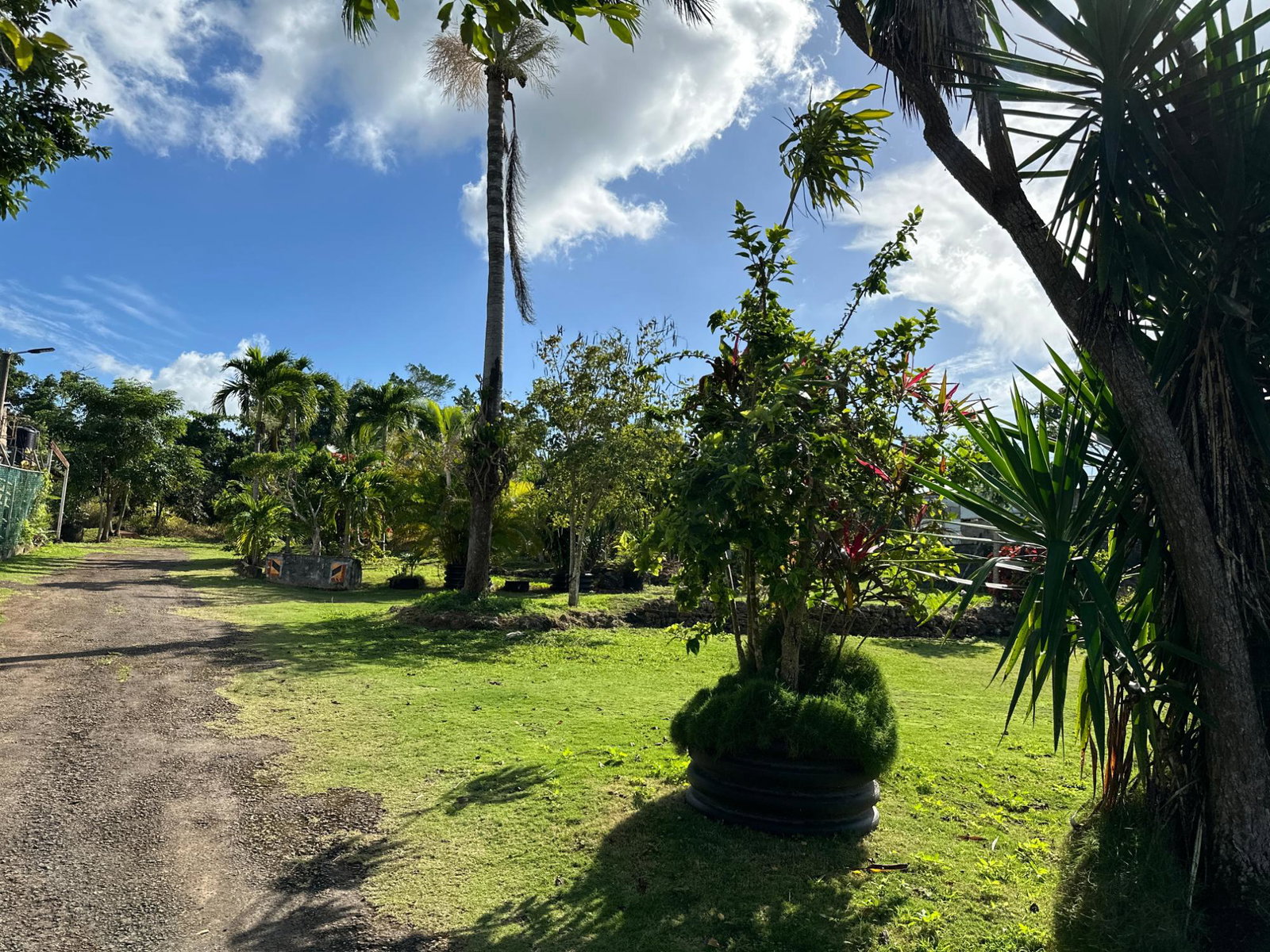 Fourth image of 263 Liberty Castle, Three Hills in Free Hill, St. Mary, Jamaica - property is For Sale