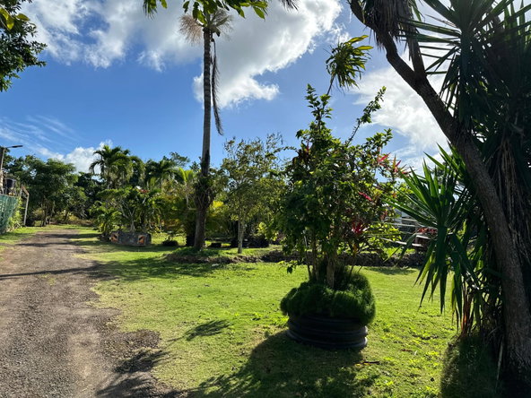 Fourth image of 263 Liberty Castle, Three Hills in Free Hill, St. Mary, Jamaica - property is For Sale