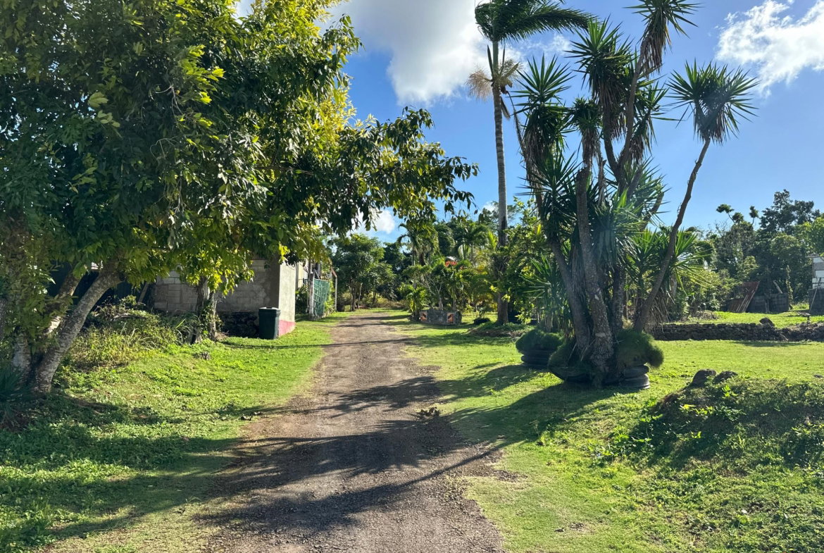 Fifth image of 263 Liberty Castle, Three Hills in Free Hill, St. Mary, Jamaica - property is For Sale