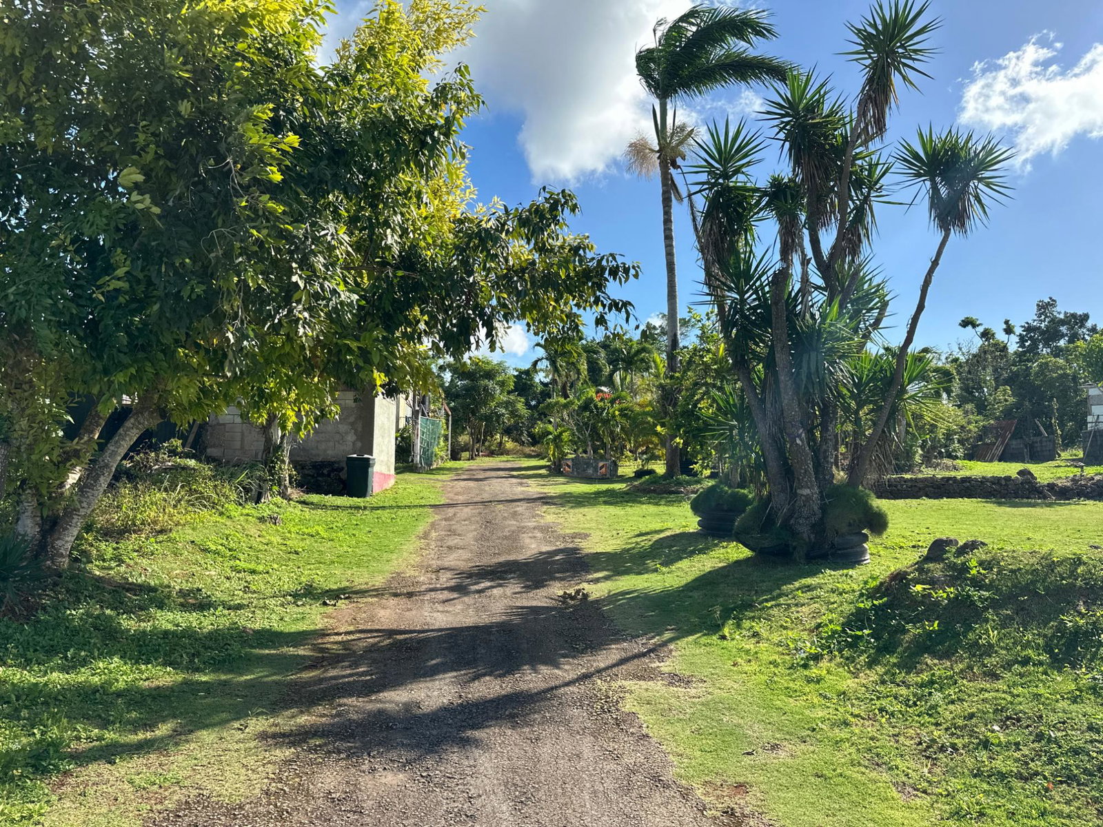 Fifth image of 263 Liberty Castle, Three Hills in Free Hill, St. Mary, Jamaica - property is For Sale