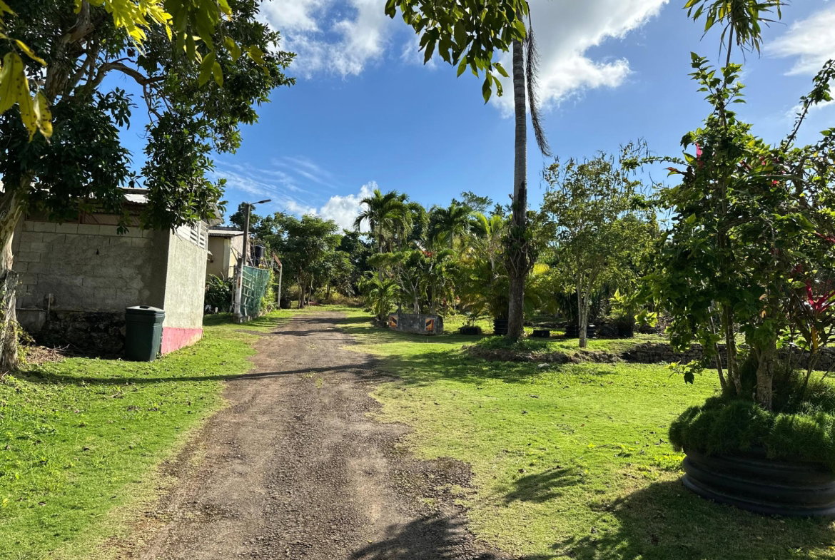 Sixth image of 263 Liberty Castle, Three Hills in Free Hill, St. Mary, Jamaica - property is For Sale