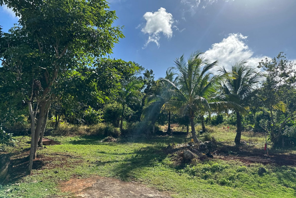 Seventh image of 263 Liberty Castle, Three Hills in Free Hill, St. Mary, Jamaica - property is For Sale