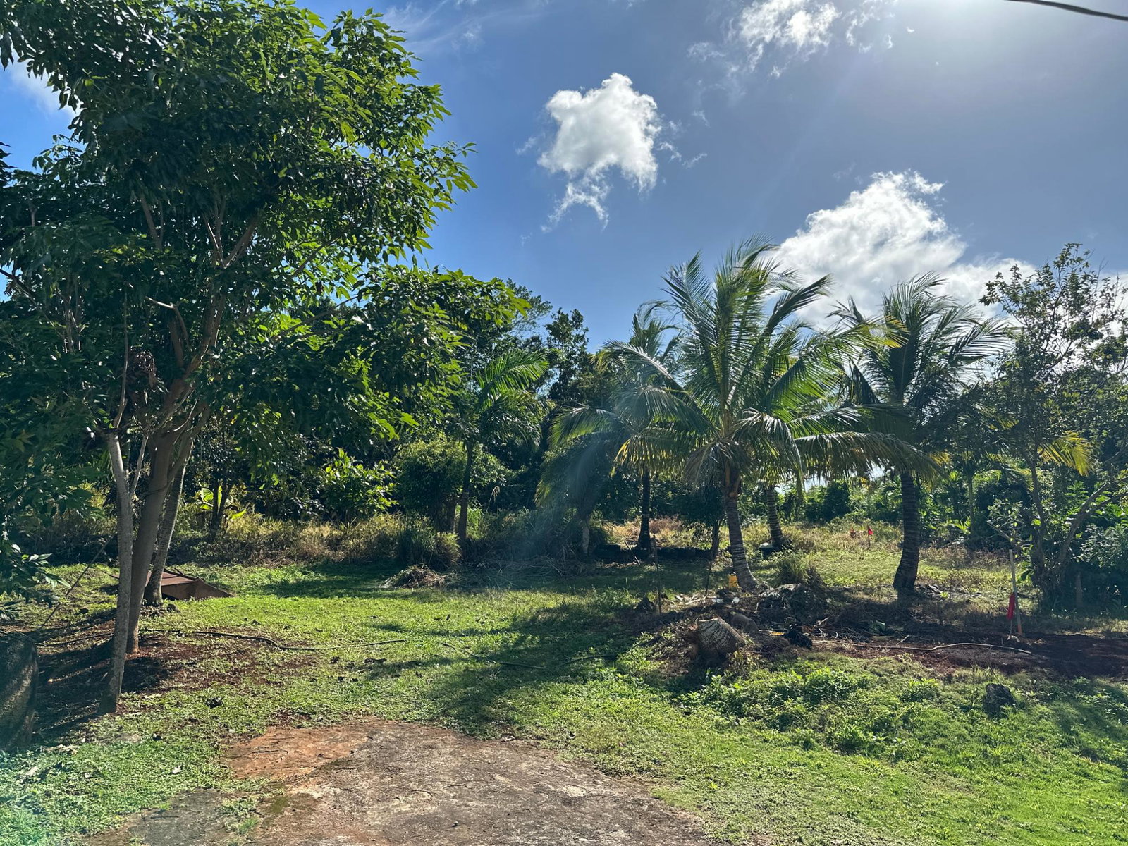 Seventh image of 263 Liberty Castle, Three Hills in Free Hill, St. Mary, Jamaica - property is For Sale