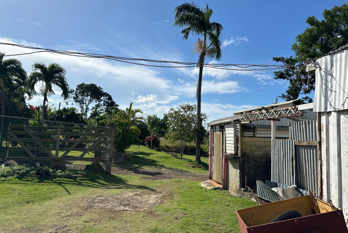 Ninth image of 263 Liberty Castle, Three Hills in Free Hill, St. Mary, Jamaica - property is For Sale