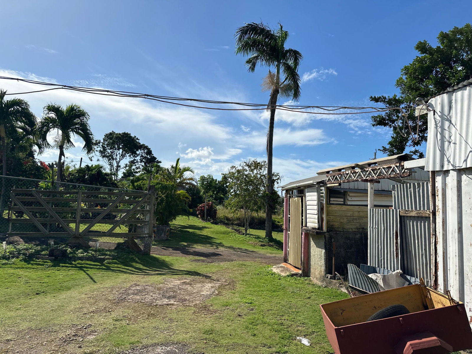 Ninth image of 263 Liberty Castle, Three Hills in Free Hill, St. Mary, Jamaica - property is For Sale