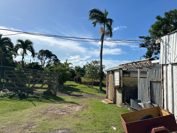 Ninth image of 263 Liberty Castle, Three Hills in Free Hill, St. Mary, Jamaica - property is For Sale