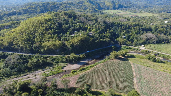 Fourth image of 5 Pennant, Clarendon in PENNANTS, Clarendon, Jamaica - property is For Sale
