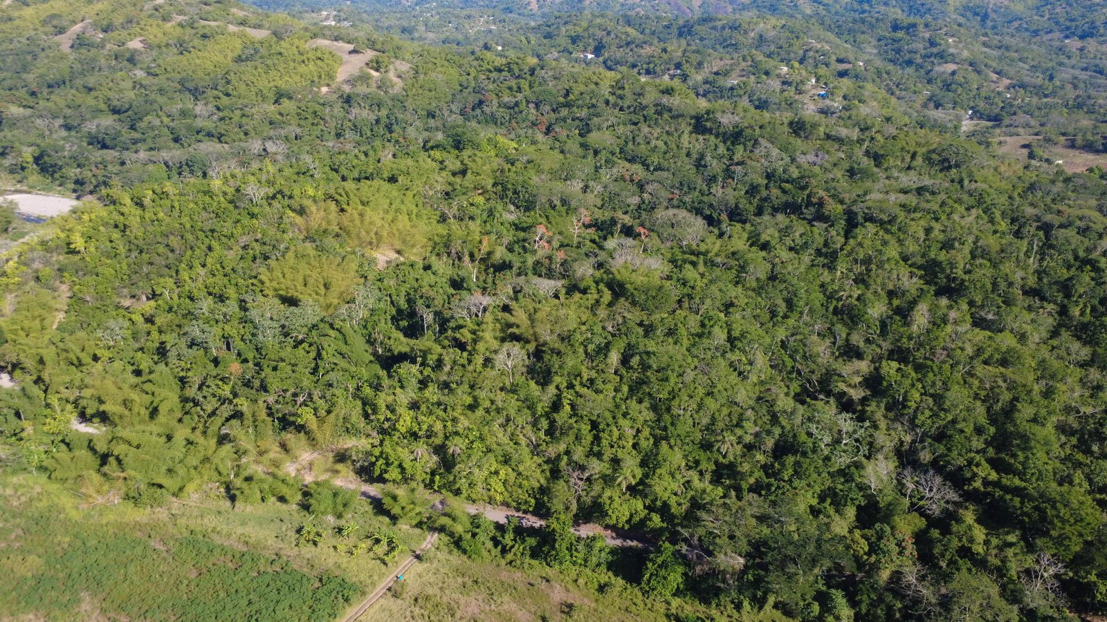 Eighth image of 5 Pennant, Clarendon in PENNANTS, Clarendon, Jamaica - property is For Sale