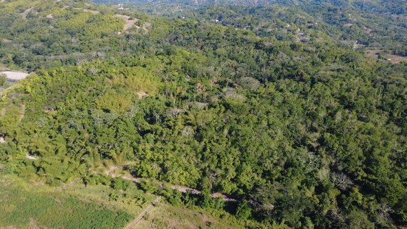 Eighth image of 5 Pennant, Clarendon in PENNANTS, Clarendon, Jamaica - property is For Sale
