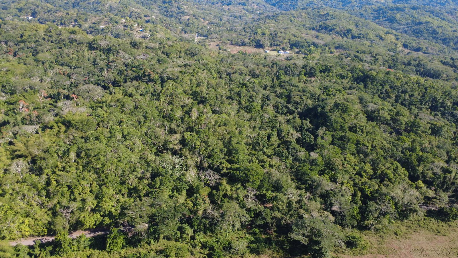 Ninth image of 5 Pennant, Clarendon in PENNANTS, Clarendon, Jamaica - property is For Sale