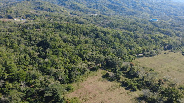 Tenth image of 5 Pennant, Clarendon in PENNANTS, Clarendon, Jamaica - property is For Sale
