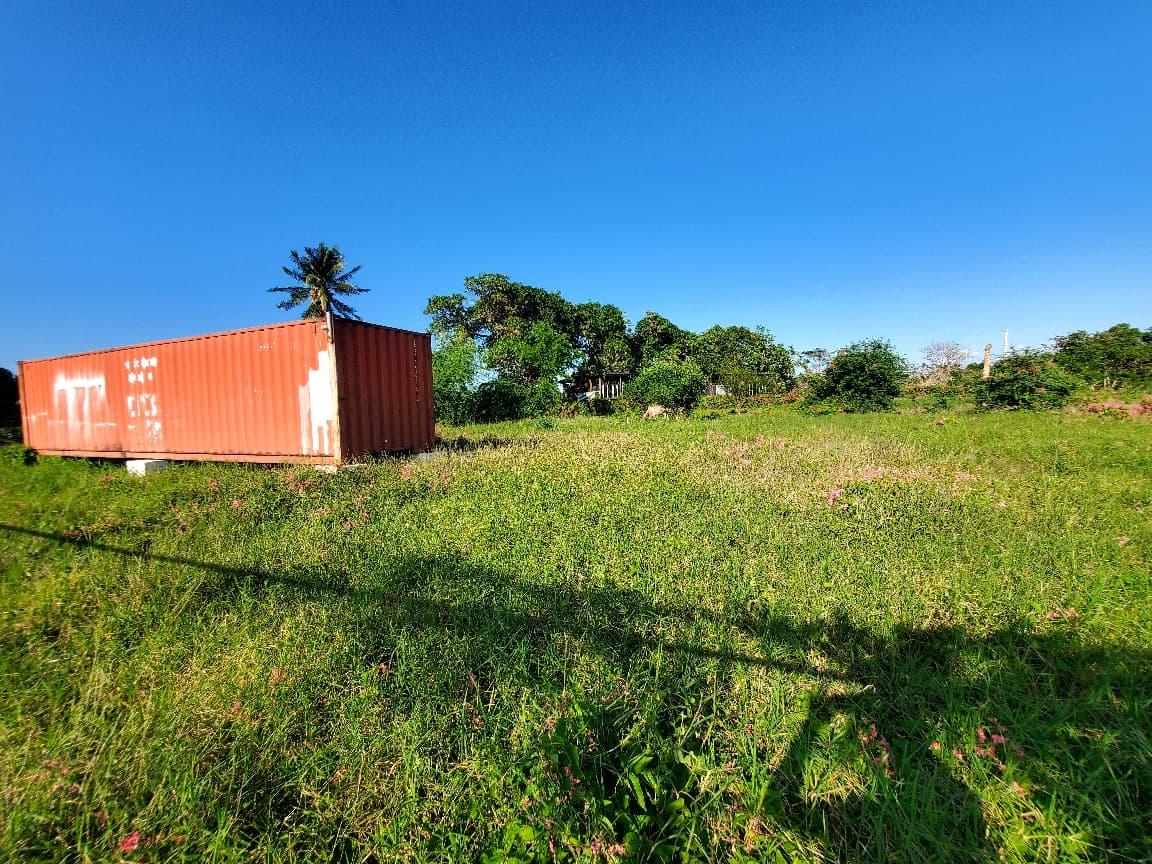 12-Acres-Farmland-with-Farmhouse-for-Sale-in-Bushy-Park-St.-Catherine-Jamaica Third image of 9 Wilkins Way, Bushy Park in Bushy Park, St. Catherine, Jamaica - property is For Sale
