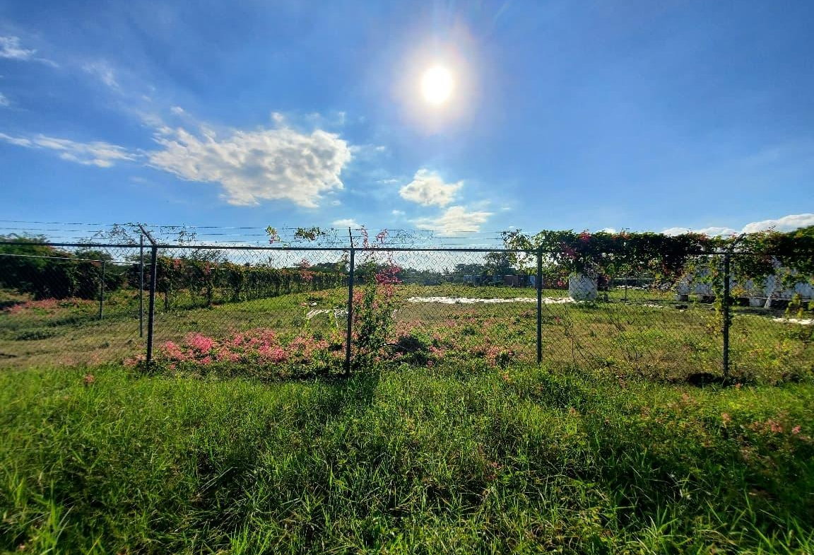 Fourth image of 9 Wilkins Way, Bushy Park in Bushy Park, St. Catherine, Jamaica - property is For Sale