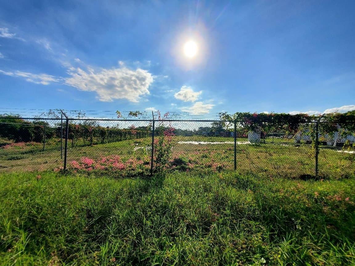 12-Acres-Farmland-with-Farmhouse-for-Sale-in-Bushy-Park-St.-Catherine-Jamaica Fourth image of 9 Wilkins Way, Bushy Park in Bushy Park, St. Catherine, Jamaica - property is For Sale