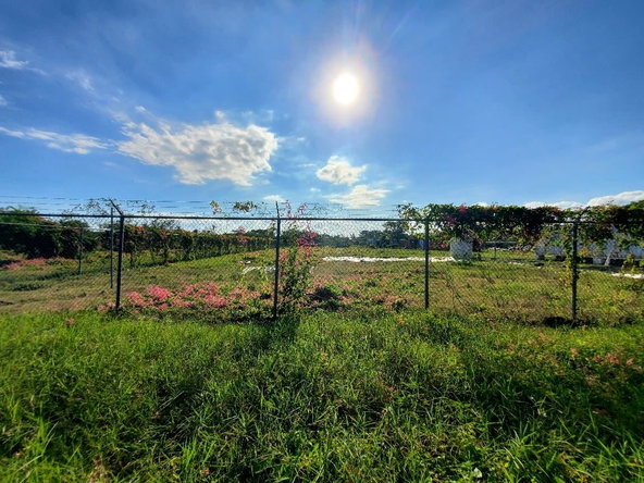 Fourth image of 9 Wilkins Way, Bushy Park in Bushy Park, St. Catherine, Jamaica - property is For Sale