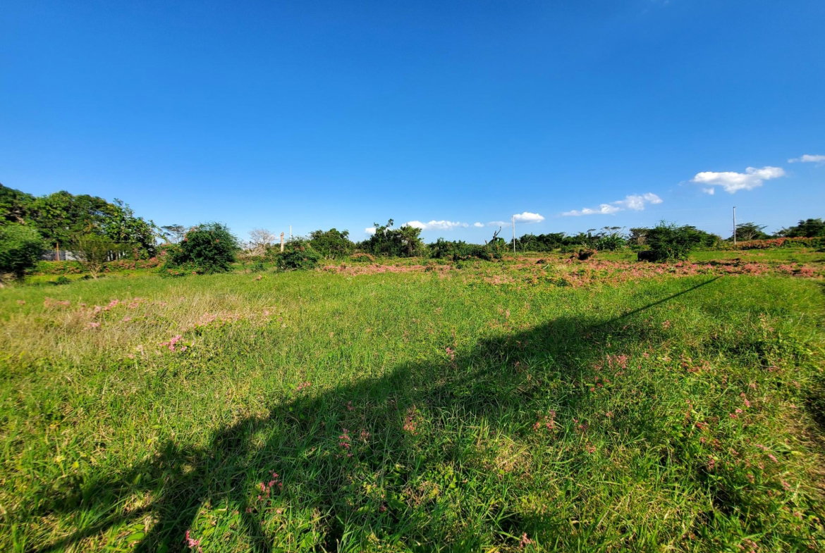 Fifth image of 9 Wilkins Way, Bushy Park in Bushy Park, St. Catherine, Jamaica - property is For Sale