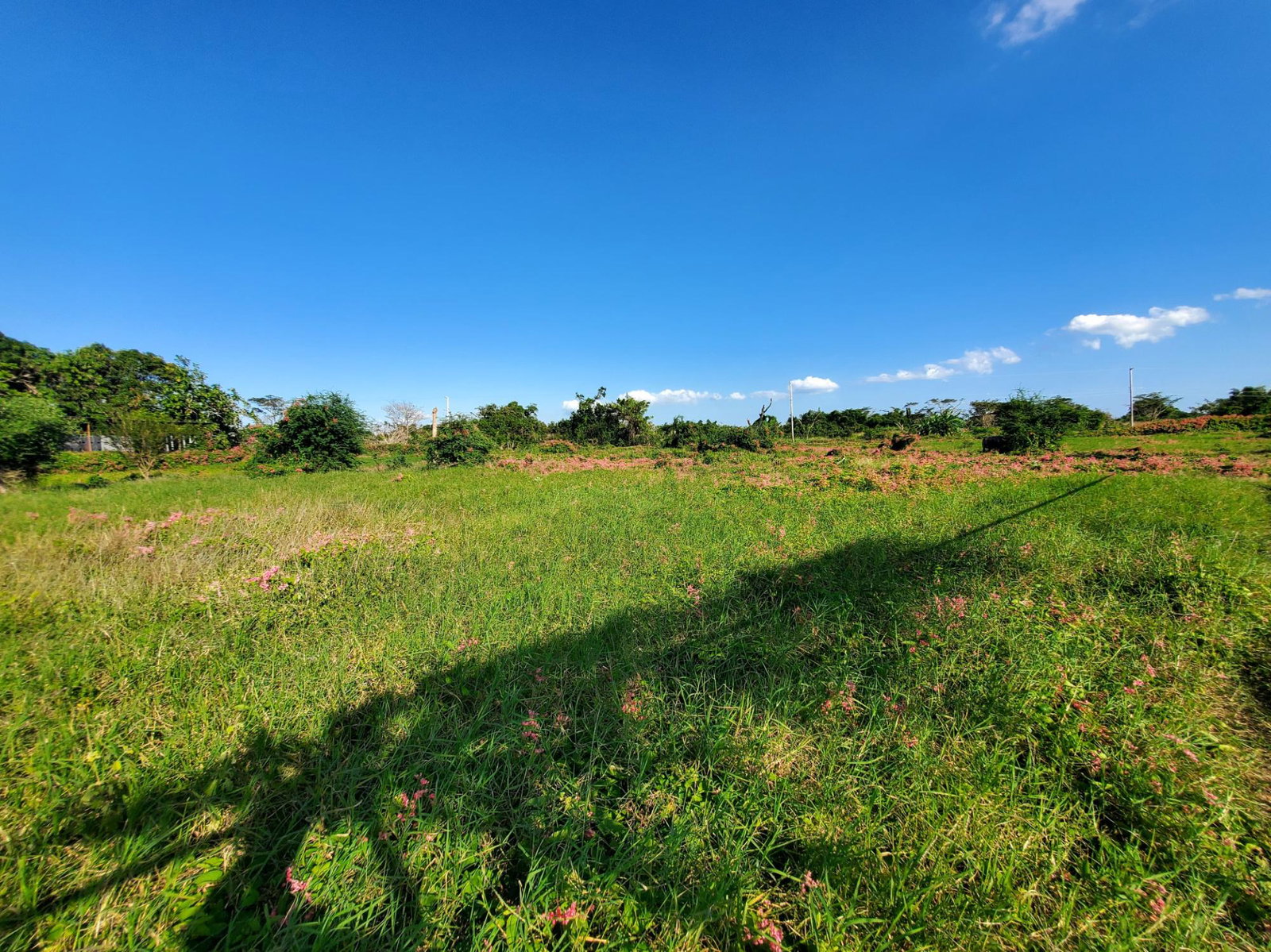 12-Acres-Farmland-with-Farmhouse-for-Sale-in-Bushy-Park-St.-Catherine-Jamaica Fifth image of 9 Wilkins Way, Bushy Park in Bushy Park, St. Catherine, Jamaica - property is For Sale
