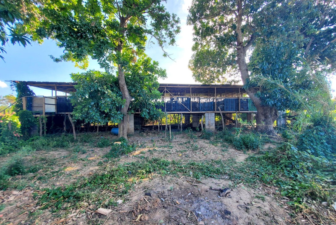 Sixth image of 9 Wilkins Way, Bushy Park in Bushy Park, St. Catherine, Jamaica - property is For Sale