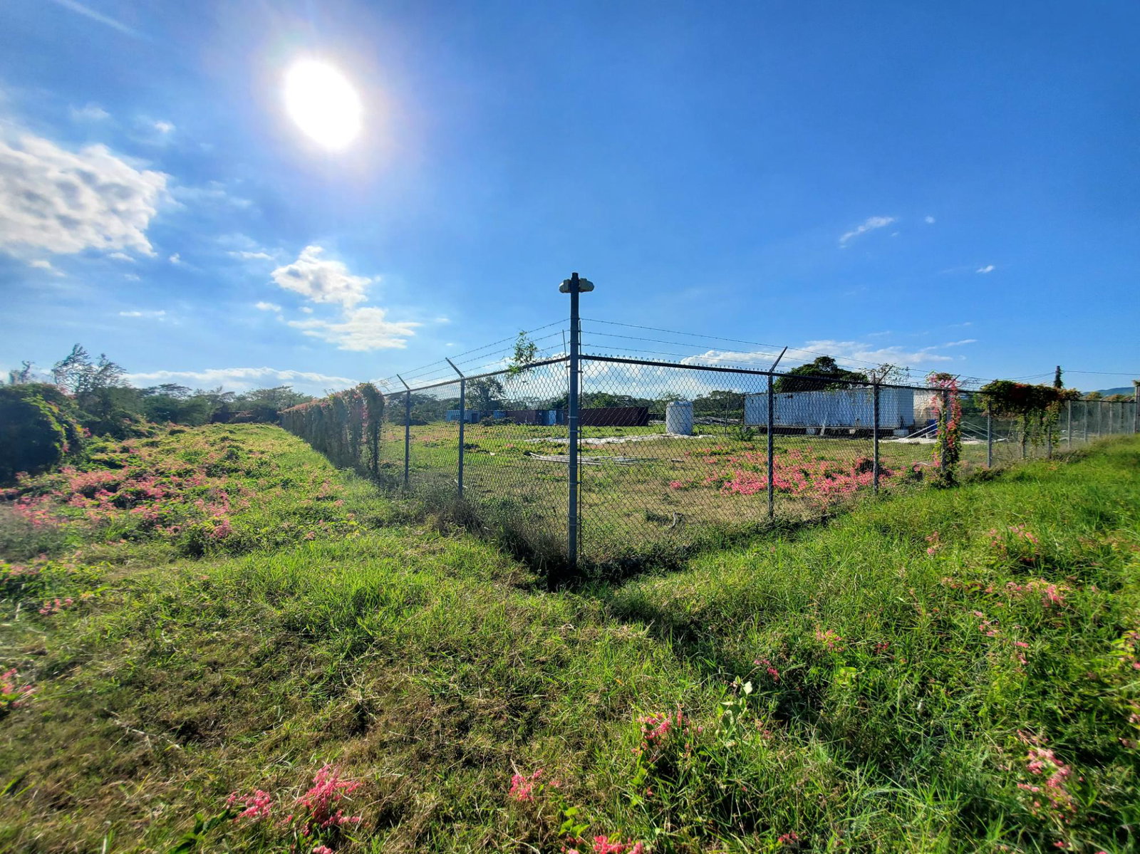 12-Acres-Farmland-with-Farmhouse-for-Sale-in-Bushy-Park-St.-Catherine-Jamaica Seventh image of 9 Wilkins Way, Bushy Park in Bushy Park, St. Catherine, Jamaica - property is For Sale