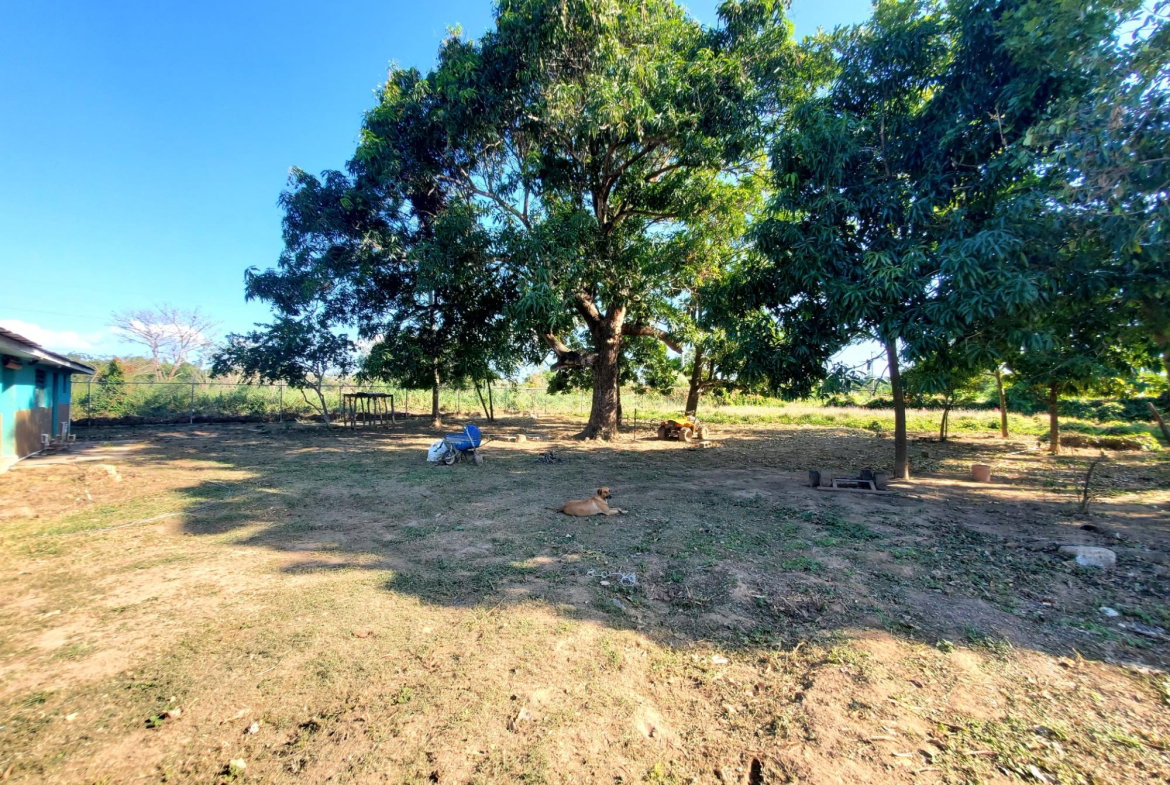 Eighth image of 9 Wilkins Way, Bushy Park in Bushy Park, St. Catherine, Jamaica - property is For Sale