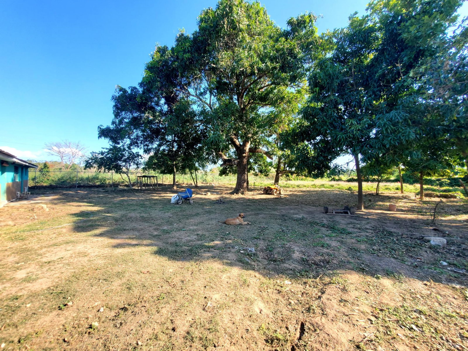 12-Acres-Farmland-with-Farmhouse-for-Sale-in-Bushy-Park-St.-Catherine-Jamaica Eighth image of 9 Wilkins Way, Bushy Park in Bushy Park, St. Catherine, Jamaica - property is For Sale