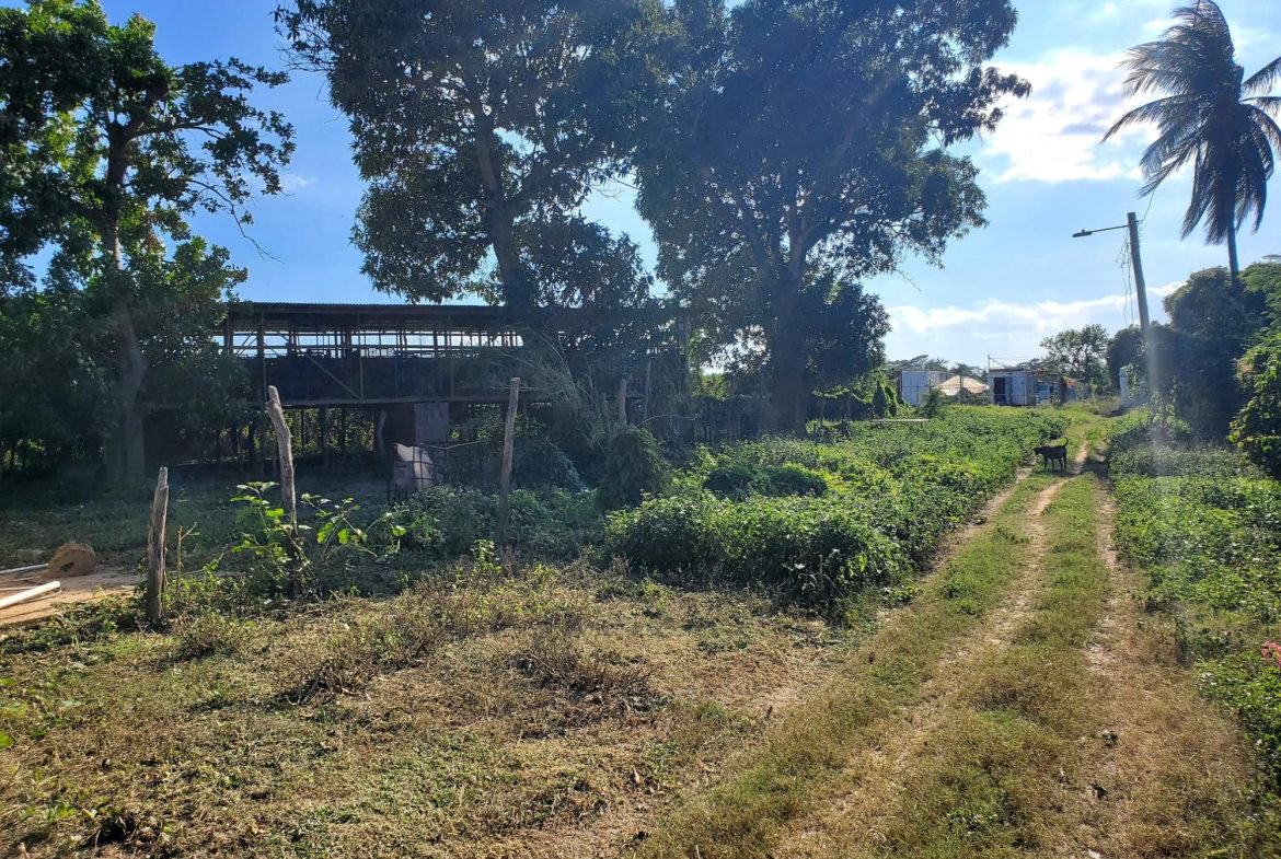 Ninth image of 9 Wilkins Way, Bushy Park in Bushy Park, St. Catherine, Jamaica - property is For Sale