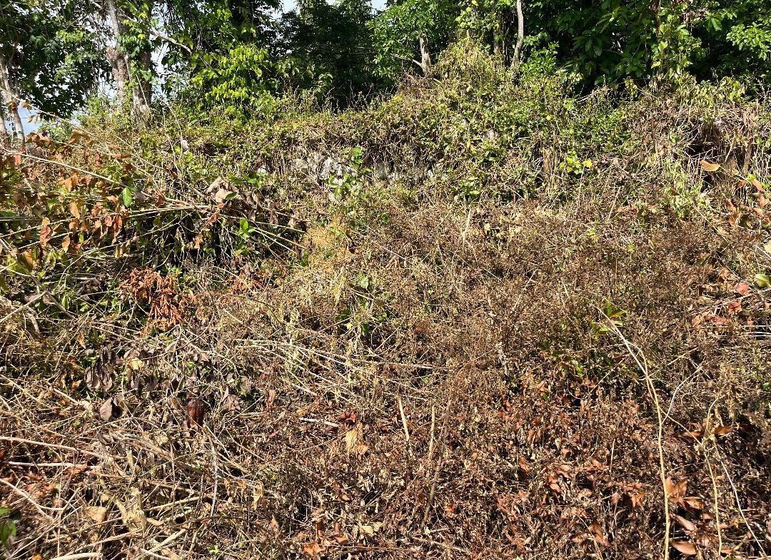 Second image of 5 Griffiths Close Heartease in Mandeville, Manchester, Jamaica - property is For Sale