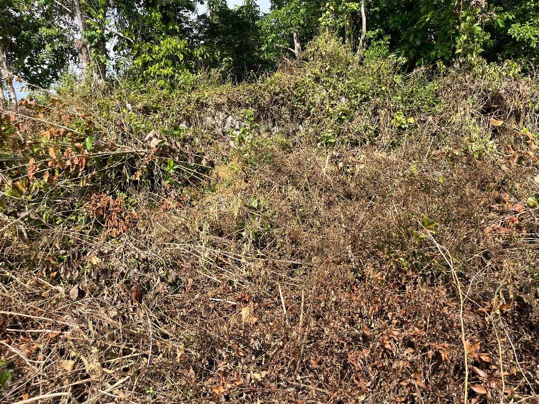 Second image of 5 Griffiths Close Heartease in Mandeville, Manchester, Jamaica - property is For Sale