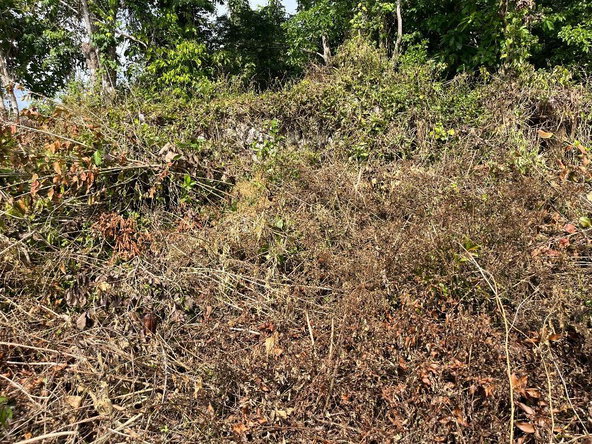 Second image of 5 Griffiths Close Heartease in Mandeville, Manchester, Jamaica - property is For Sale
