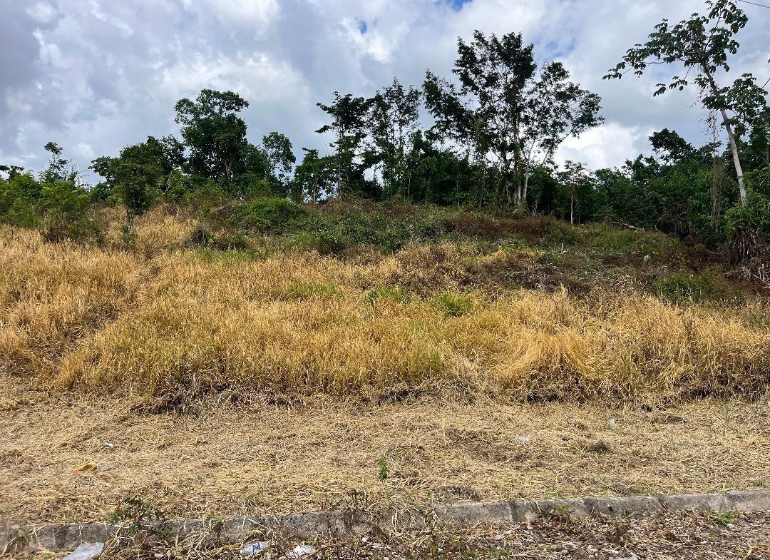 First image of 5 Griffiths Close Heartease in Mandeville, Manchester, Jamaica - property is For Sale