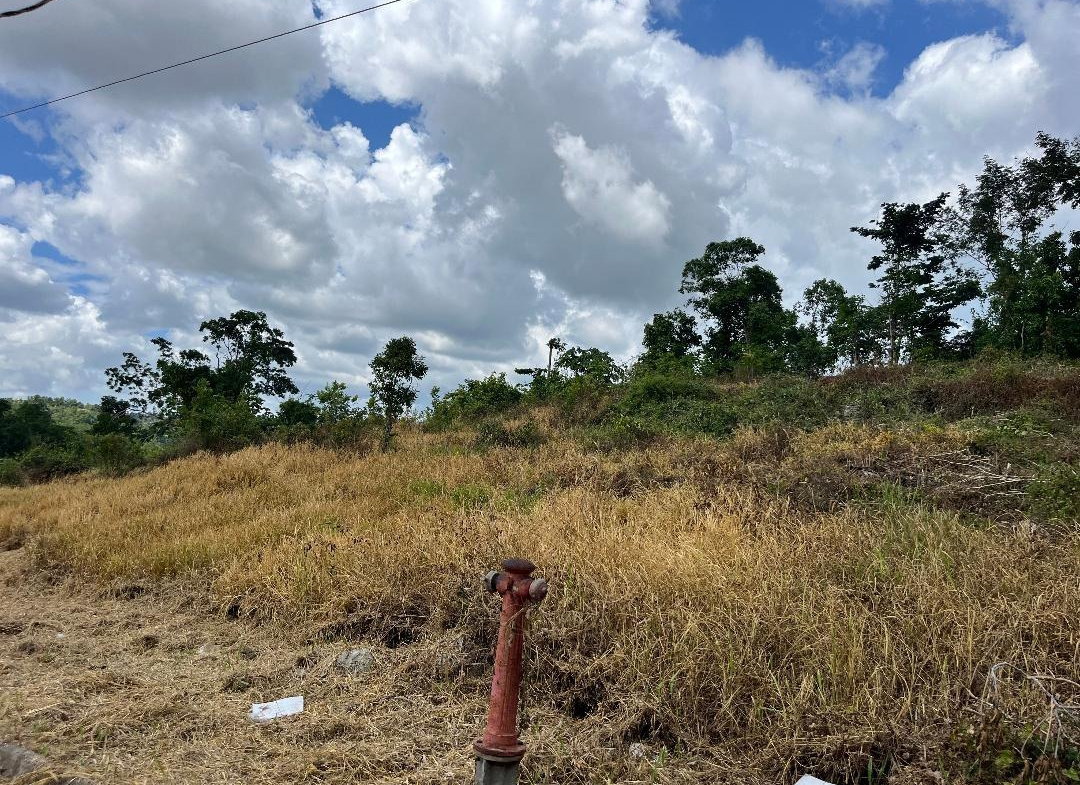 Fourth image of 5 Griffiths Close Heartease in Mandeville, Manchester, Jamaica - property is For Sale