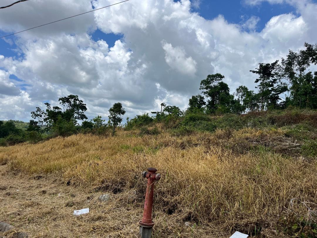 Fourth image of 5 Griffiths Close Heartease in Mandeville, Manchester, Jamaica - property is For Sale