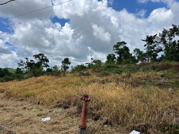 Fourth image of 5 Griffiths Close Heartease in Mandeville, Manchester, Jamaica - property is For Sale