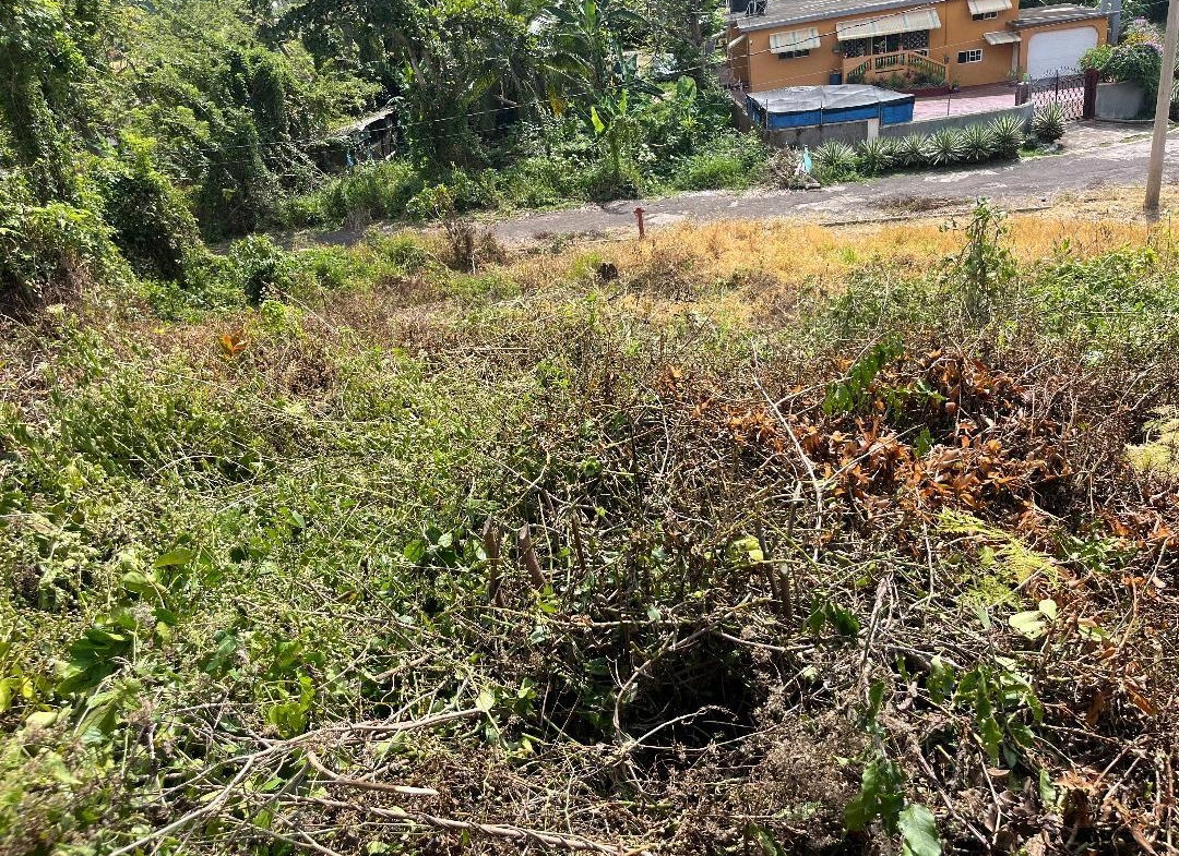 Fifth image of 5 Griffiths Close Heartease in Mandeville, Manchester, Jamaica - property is For Sale