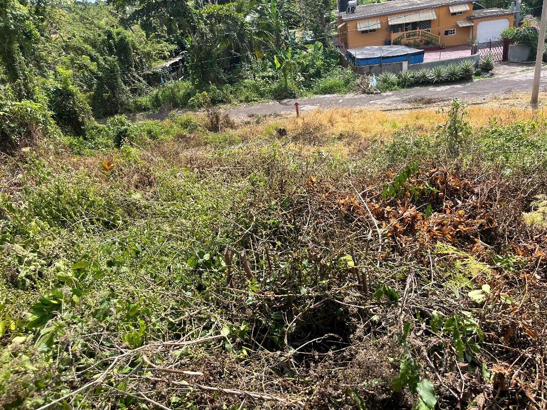 Fifth image of 5 Griffiths Close Heartease in Mandeville, Manchester, Jamaica - property is For Sale