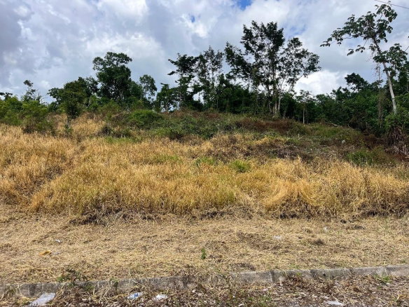 First image of 5 Griffiths Close Heartease in Mandeville, Manchester, Jamaica - property is For Sale