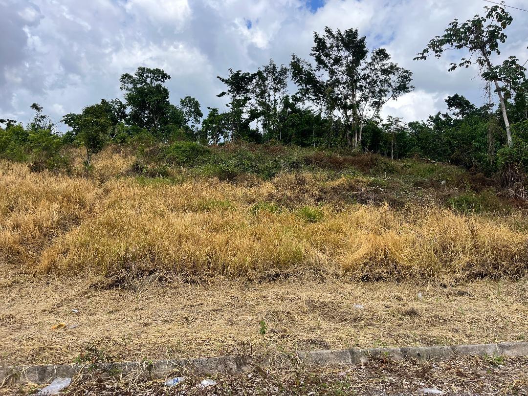 First image of 5 Griffiths Close Heartease in Mandeville, Manchester, Jamaica - property is For Sale