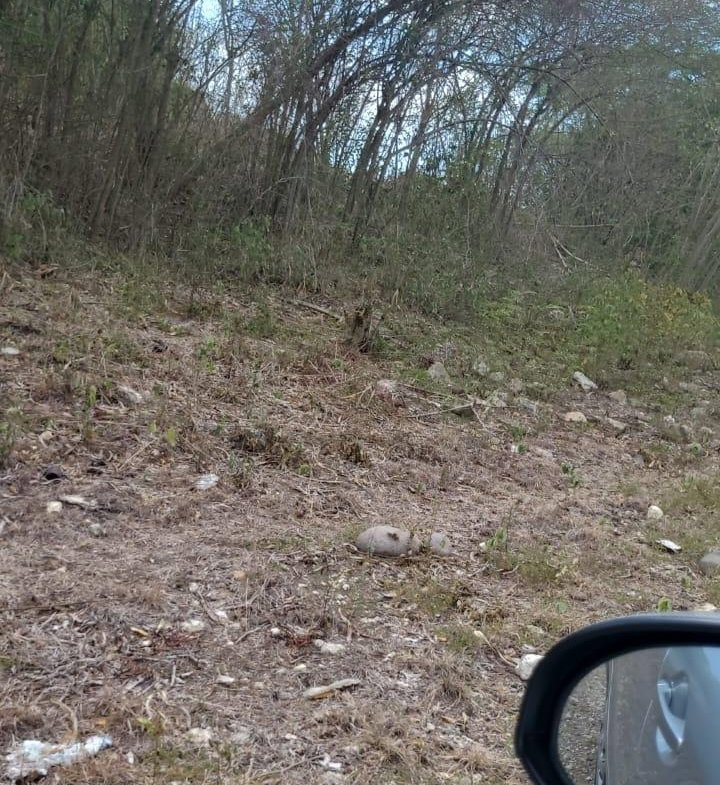 Second image of Coates Pen in May Pen, Clarendon, Jamaica - property is For Sale