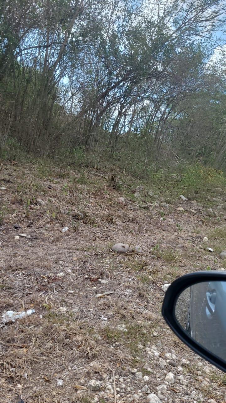 Second image of Coates Pen in May Pen, Clarendon, Jamaica - property is For Sale